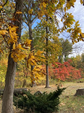 11709 Belshaw Road, Lowell, IN 46356