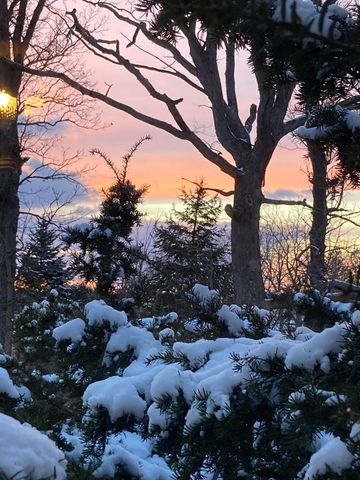 11709 Belshaw Road, Lowell, IN 46356