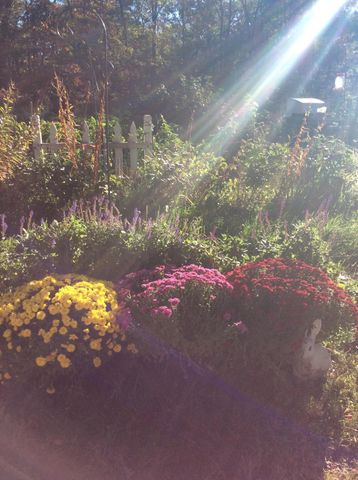 11709 Belshaw Road, Lowell, IN 46356