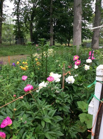 11709 Belshaw Road, Lowell, IN 46356