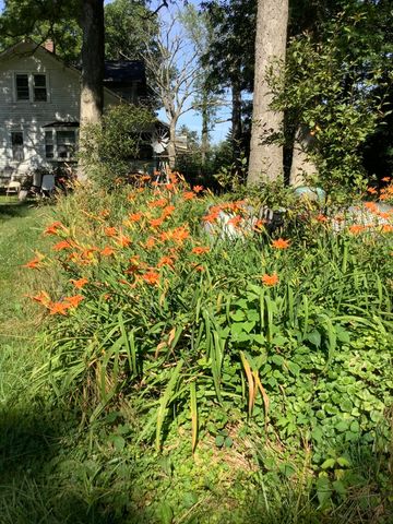 11709 Belshaw Road, Lowell, IN 46356