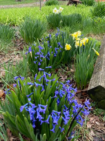 11709 Belshaw Road, Lowell, IN 46356