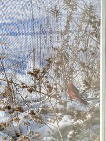 11709 Belshaw Road, Lowell, IN 46356