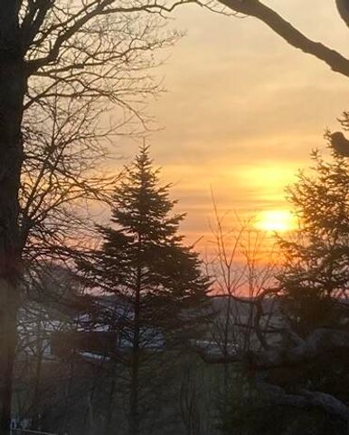 11709 Belshaw Road, Lowell, IN 46356