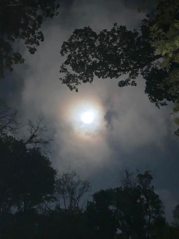 11709 Belshaw Road, Lowell, IN 46356