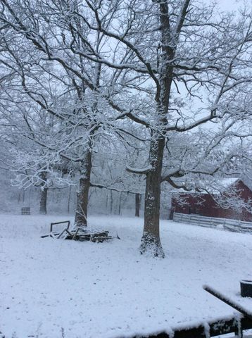 11709 Belshaw Road, Lowell, IN 46356