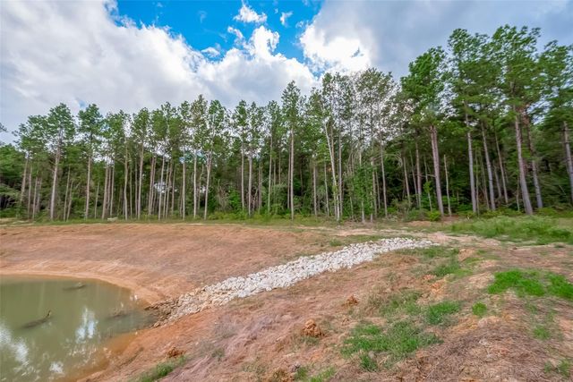 8100 High Meadow Ridge Court, Montgomery, TX 77316