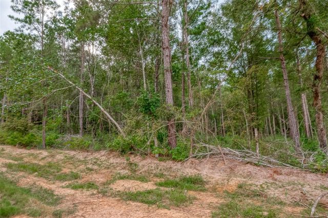 8100 High Meadow Ridge Court, Montgomery, TX 77316