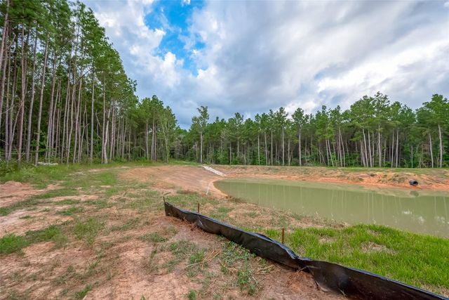 8100 High Meadow Ridge Court, Montgomery, TX 77316