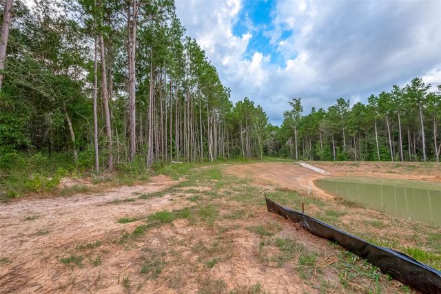 8100 High Meadow Ridge Court, Montgomery, TX 77316