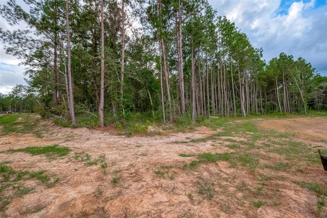 8100 High Meadow Ridge Court, Montgomery, TX 77316