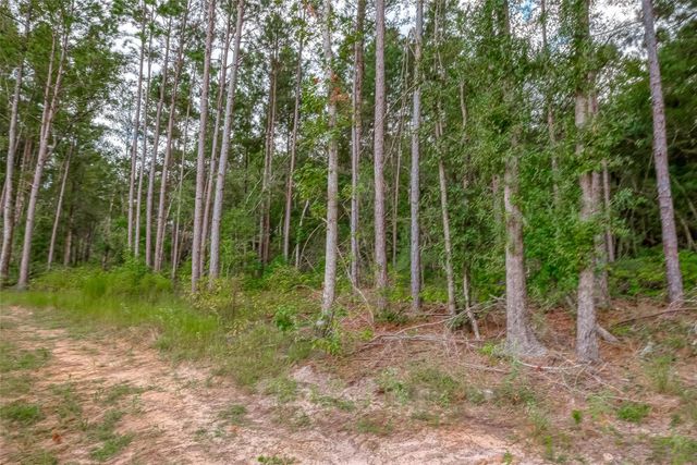 8100 High Meadow Ridge Court, Montgomery, TX 77316