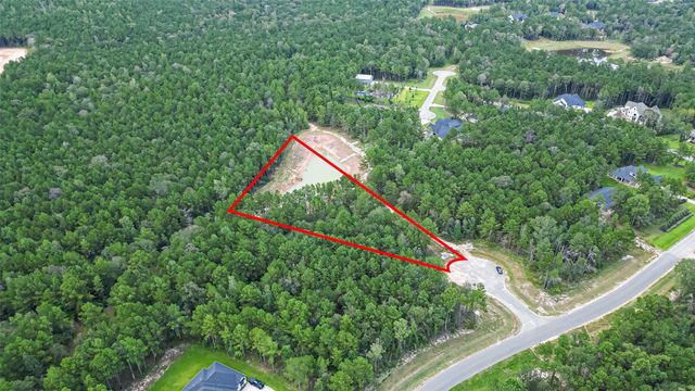 8100 High Meadow Ridge Court, Montgomery, TX 77316