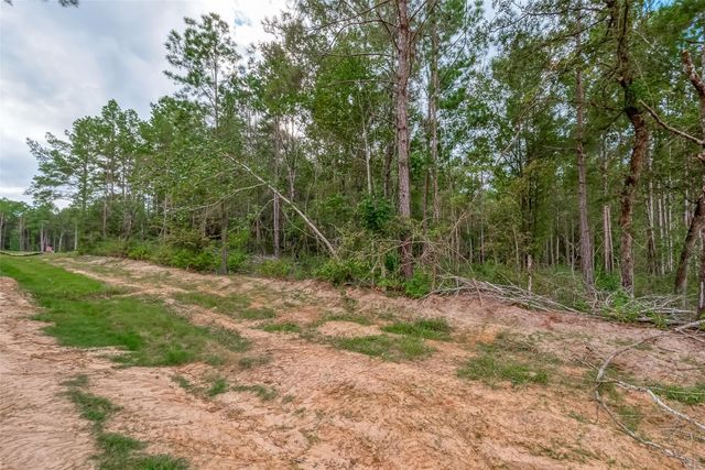 8100 High Meadow Ridge Court, Montgomery, TX 77316