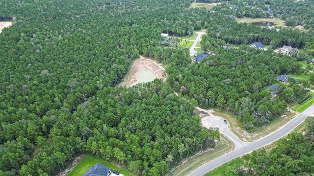 8100 High Meadow Ridge Court, Montgomery, TX 77316