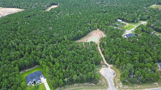 8100 High Meadow Ridge Court, Montgomery, TX 77316