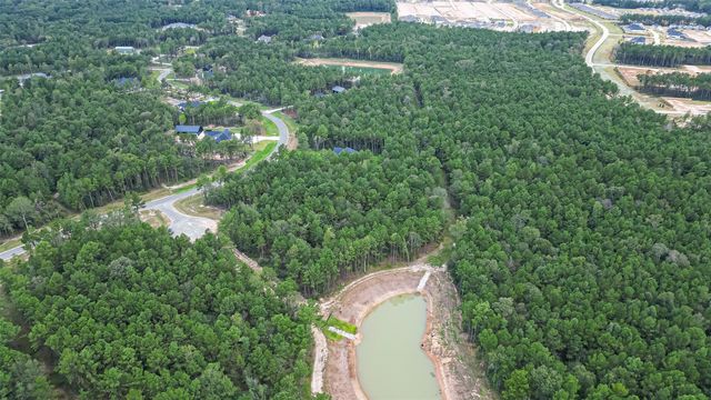 8100 High Meadow Ridge Court, Montgomery, TX 77316