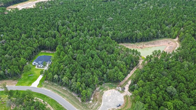 8100 High Meadow Ridge Court, Montgomery, TX 77316