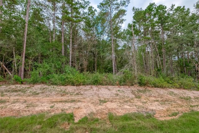 8100 High Meadow Ridge Court, Montgomery, TX 77316