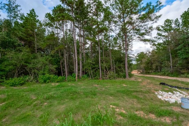 8100 High Meadow Ridge Court, Montgomery, TX 77316