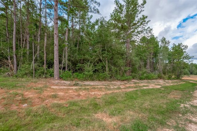 8100 High Meadow Ridge Court, Montgomery, TX 77316