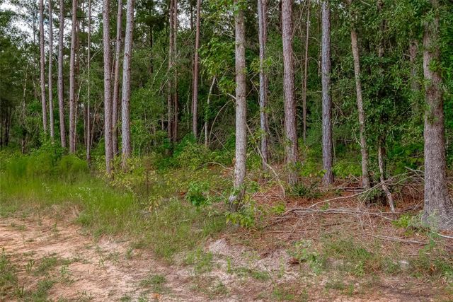 8100 High Meadow Ridge Court, Montgomery, TX 77316