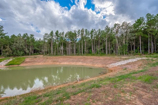 8100 High Meadow Ridge Court, Montgomery, TX 77316