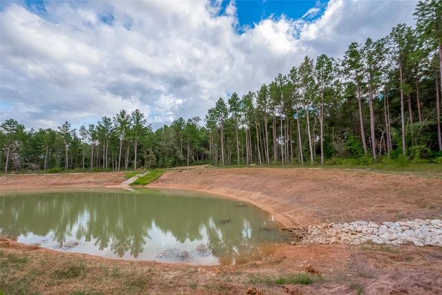 8100 High Meadow Ridge Court, Montgomery, TX 77316