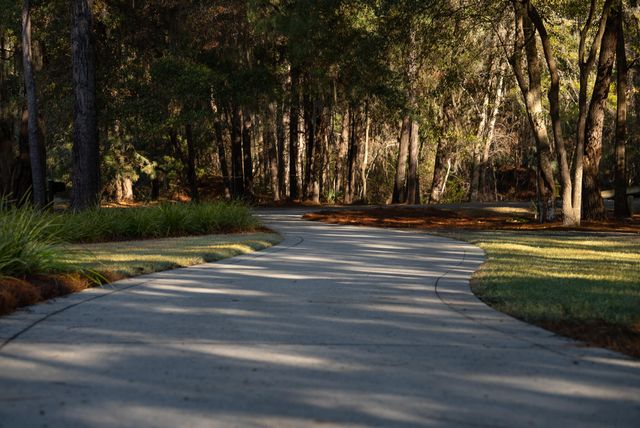 4105 Gnarled Oaks Lane, Johns Island, SC 29455