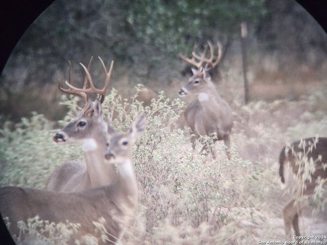 445 Private Road 7822, Natalia, TX 78059