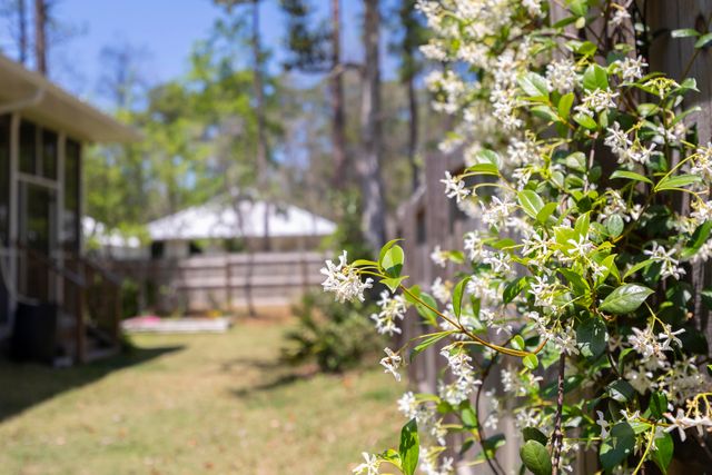 1225 E Point Washington Road, Santa Rosa Beach, FL 32459