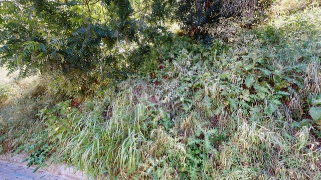 3810 Knobhill Drive, Sherman Oaks, CA 91423