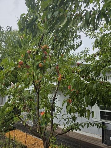 2348 Segwun Avenue Se, Lowell Twp, MI 49331