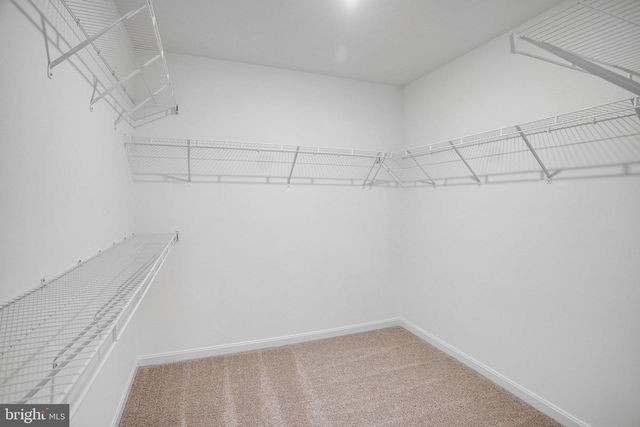 2008 DIVOT DR, Culpeper, VA 22701