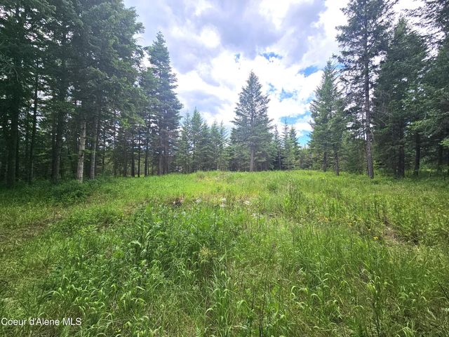 7248 E Honeysuckle Rd, Athol, ID 83801