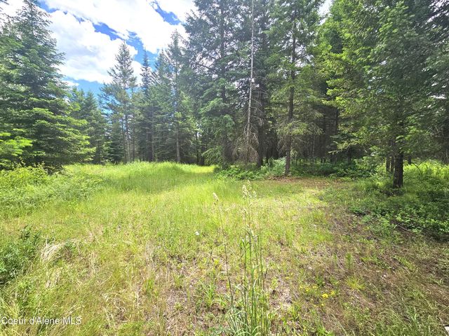 7248 E Honeysuckle Rd, Athol, ID 83801