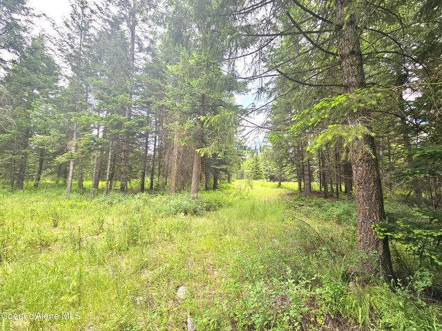 7248 E Honeysuckle Rd, Athol, ID 83801