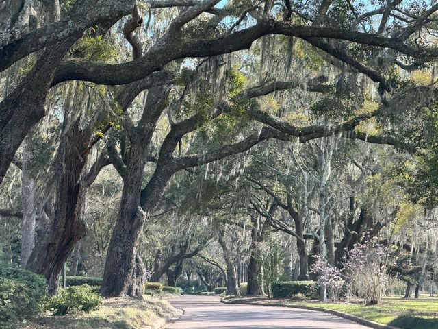 1128 Windsome Place, Mount Pleasant, SC 29464