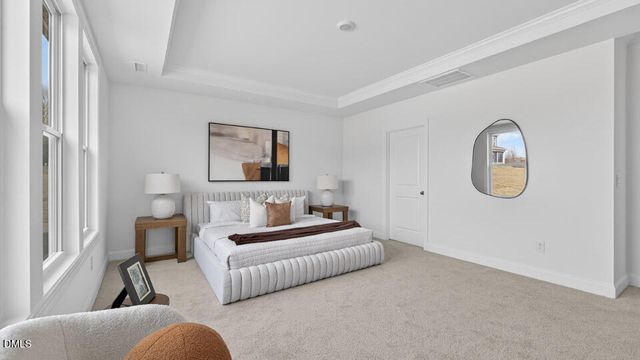 19 East Fire Opal Court, Clayton, NC 27520