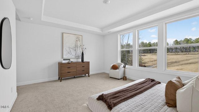 19 East Fire Opal Court, Clayton, NC 27520