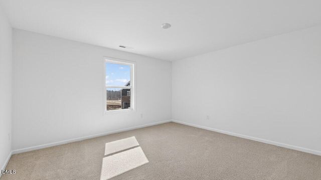 19 East Fire Opal Court, Clayton, NC 27520