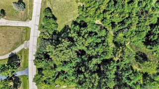 0 Shinanguag Drive, Goodrich, MI 48438