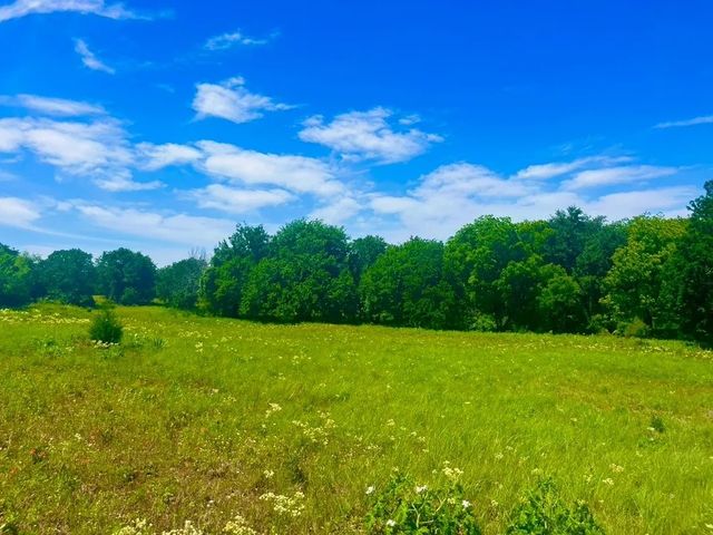 Lot 100 Arlow Road, Poolville, TX 76487
