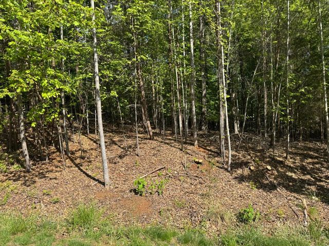 Lot 40 Lakeside LN, Glade Hill, VA 24092