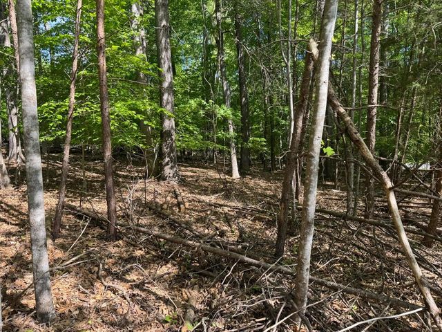 Lot 40 Lakeside LN, Glade Hill, VA 24092