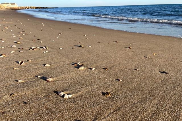 34 Pleasant St 3, Dennis, MA 02660