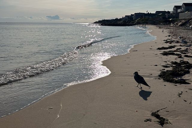 34 Pleasant St 3, Dennis, MA 02660