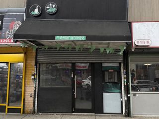 919 163rd E, Bronx, NY 10451