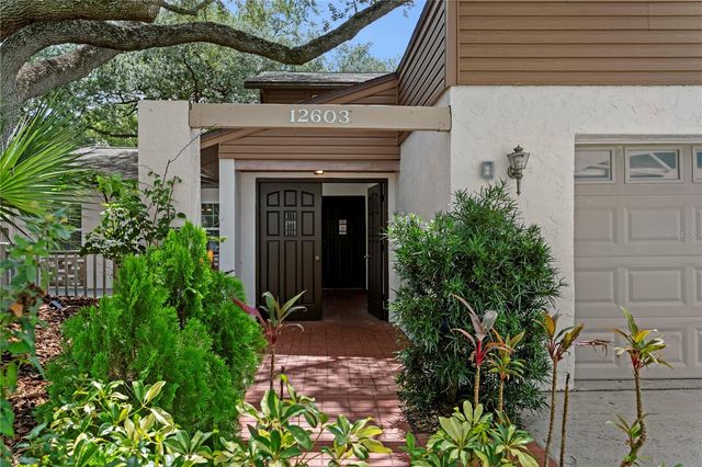 12603 RAIN FOREST STREET, Temple Terrace, FL 33617