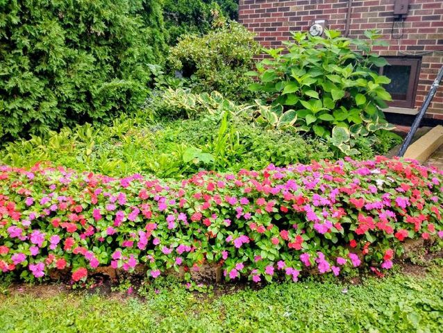 308 Sheldon Avenue, Downers Grove, IL 60515